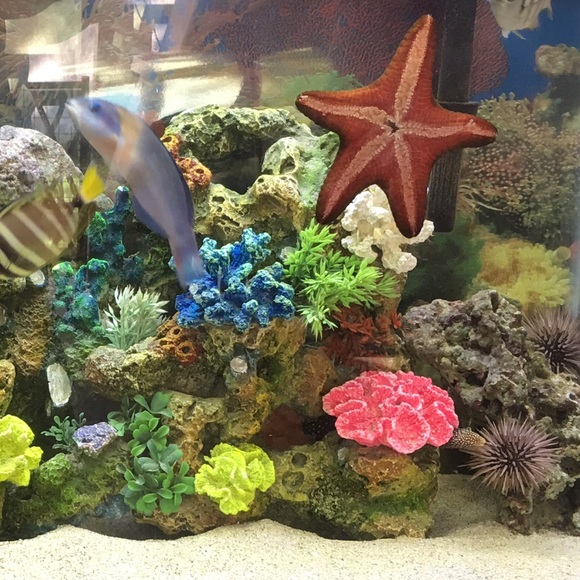 Meet your Posher, Kyle - Picture 1 of 2